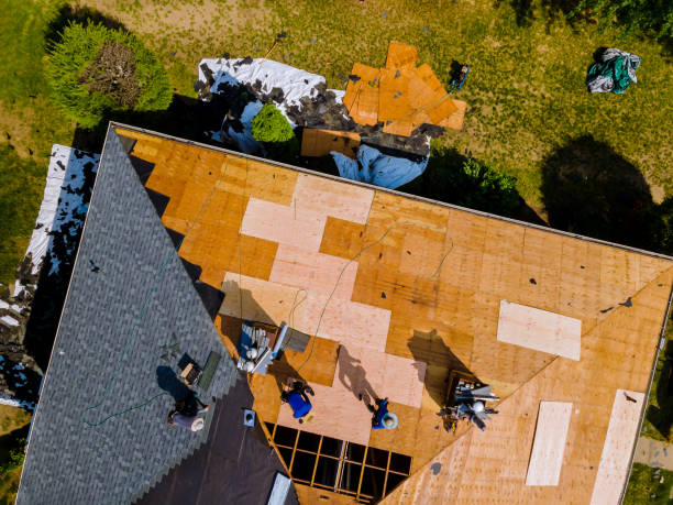 Best Local Roofing Companies  in Fircrest, WA